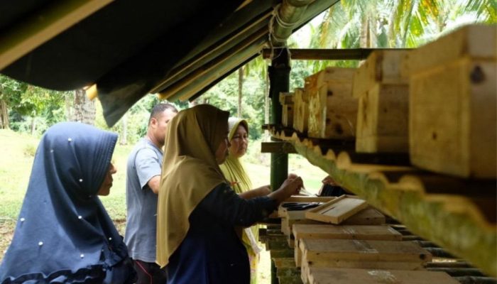 ‎Sinergi Konservasi Pesisir: Bangun Ekonomi Anambas Lewat Program SUAR Medco E&P Natuna Ltd. 